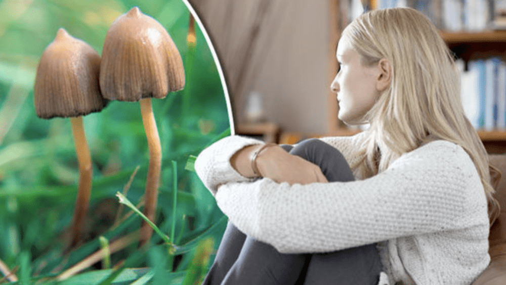 Women Are Taking More Mushrooms Than Men