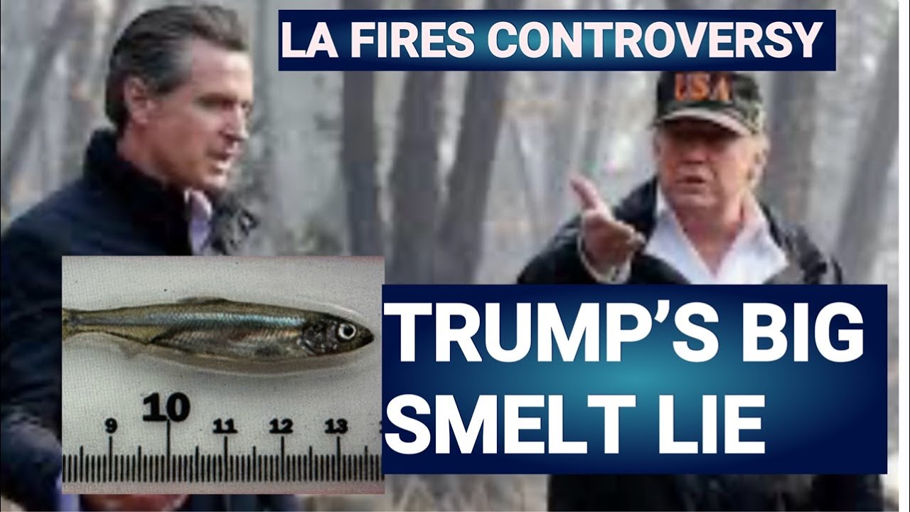 Trump’s Delta Smelt / LA Fires Water Story Is A Lie And Has Zero To Do With LA Water Supply & Fires